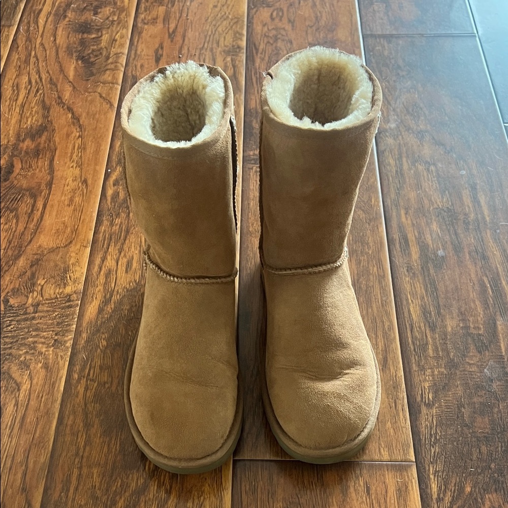 Ugg Chestnut Classic Short Boots